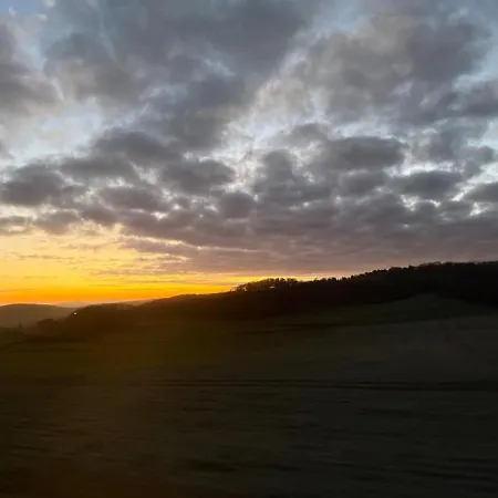 Romy In Ersen * Liebenau (Hessen)
